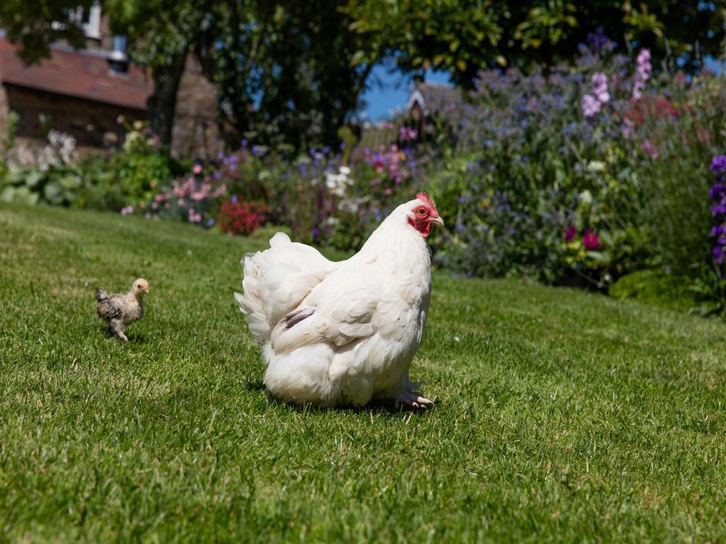 The Graig Bed & Breakfast Ludlow Farden Esterno foto
