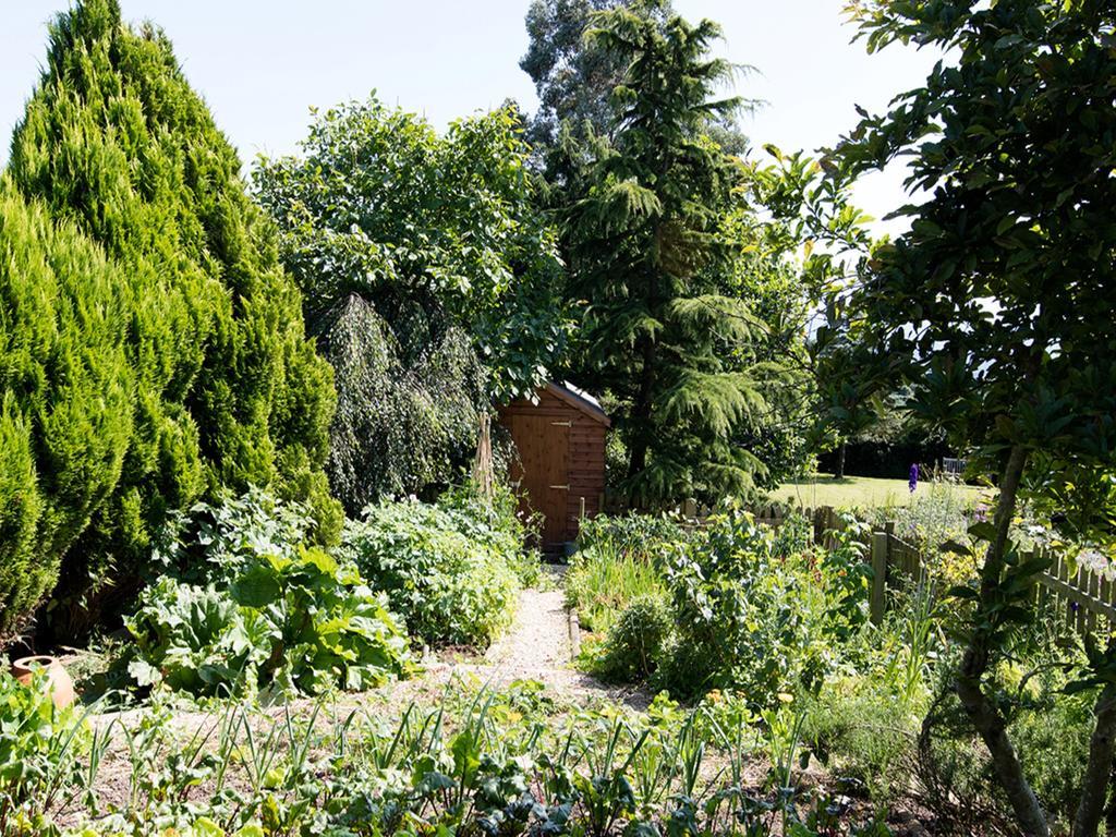 The Graig Bed & Breakfast Ludlow Farden Esterno foto