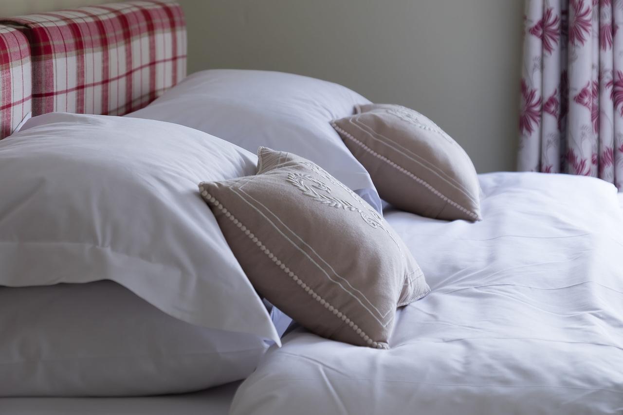 The Graig Bed & Breakfast Ludlow Farden Esterno foto