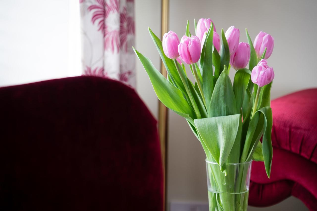 The Graig Bed & Breakfast Ludlow Farden Esterno foto