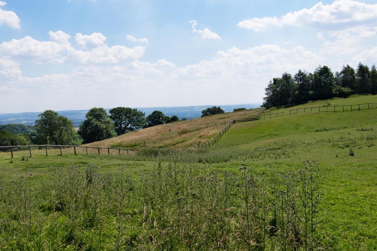 The Graig Bed & Breakfast Ludlow Farden Esterno foto